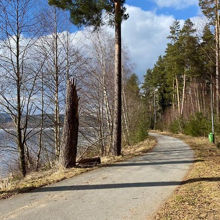 Prazdninovy Domek Kobylnice Lipno nad Vltavou Exterior photo